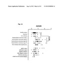 HEPATOCELLULAR CARCINOMA MARKER diagram and image