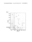 HEPATOCELLULAR CARCINOMA MARKER diagram and image