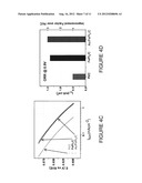 HIGHLY DURABLE NANOSCALE ELECTROCATALYST BASED ON CORE SHELL PARTICLES diagram and image