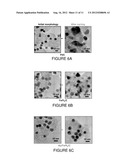 HIGHLY DURABLE NANOSCALE ELECTROCATALYST BASED ON CORE SHELL PARTICLES diagram and image