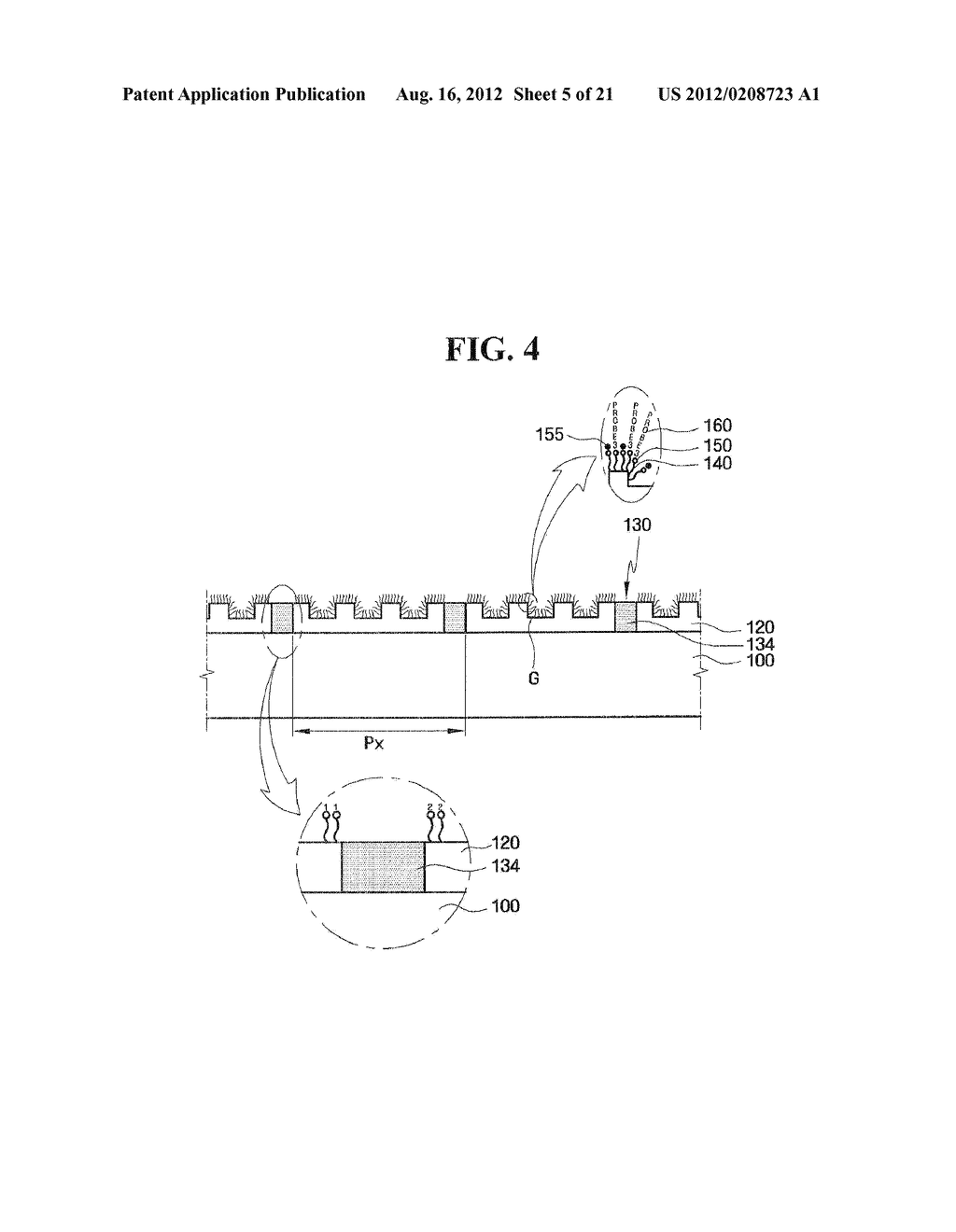 OLIGOMER PROBE ARRAY WITH IMPROVED SIGNAL-TO-NOISE RATIO AND DETECTION     SENSITIVITY AND METHOD OF MANUFACTURING THE SAME - diagram, schematic, and image 06