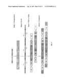 LINKING SEQUENCE READS USING PAIRED CODE TAGS diagram and image