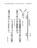 LINKING SEQUENCE READS USING PAIRED CODE TAGS diagram and image