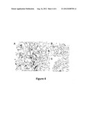 COMPOSITION FOR THE ATTACHMENT OF IMPLANTS TO COLLAGEN OR OTHER COMPONENTS     OF BIOLOGICAL TISSUE diagram and image