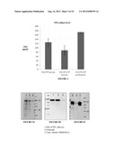 LONG-ACTING COAGULATION FACTORS AND METHODS OF PRODUCING SAME diagram and image