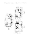 Carcinoma Homing Peptide (CHP), Its Analogs, and Methods of Using diagram and image