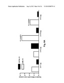 Carcinoma Homing Peptide (CHP), Its Analogs, and Methods of Using diagram and image