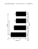 Carcinoma Homing Peptide (CHP), Its Analogs, and Methods of Using diagram and image