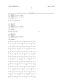 Carcinoma Homing Peptide (CHP), Its Analogs, and Methods of Using diagram and image