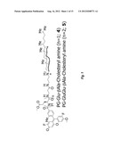 SYNTHETIC CHOLESTERYLAMINE-LINKER DERIVATIVES FOR AGENT DELIVERY INTO     CELLS diagram and image