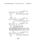 SYNTHETIC CHOLESTERYLAMINE-LINKER DERIVATIVES FOR AGENT DELIVERY INTO     CELLS diagram and image