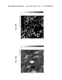 HYBRID NANOMATERIALS CONSISTING OF PSEUDOROTAXANES, PSEUDOPOLYROTAXANES,     ROTAXANES, POLYROTAXANES, NANOPARTICLES AND QUANTUM DOTS diagram and image