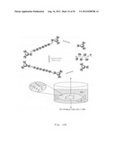 HYBRID NANOMATERIALS CONSISTING OF PSEUDOROTAXANES, PSEUDOPOLYROTAXANES,     ROTAXANES, POLYROTAXANES, NANOPARTICLES AND QUANTUM DOTS diagram and image