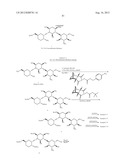 AMINOGLYCOSIDE DOSING REGIMENS diagram and image