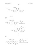 AMINOGLYCOSIDE DOSING REGIMENS diagram and image