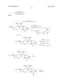 AMINOGLYCOSIDE DOSING REGIMENS diagram and image