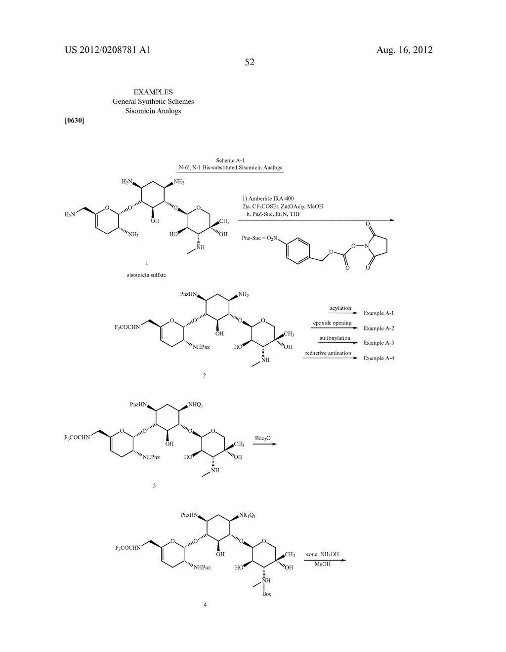 AMINOGLYCOSIDE DOSING REGIMENS - diagram, schematic, and image 84