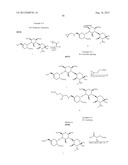 AMINOGLYCOSIDE DOSING REGIMENS diagram and image