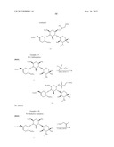 AMINOGLYCOSIDE DOSING REGIMENS diagram and image