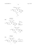 AMINOGLYCOSIDE DOSING REGIMENS diagram and image