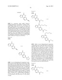 PROTEIN KINASE MODULATORS diagram and image