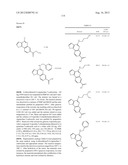 PROTEIN KINASE MODULATORS diagram and image