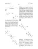 PROTEIN KINASE MODULATORS diagram and image