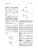 PROTEIN KINASE MODULATORS diagram and image