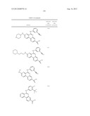 PROTEIN KINASE MODULATORS diagram and image