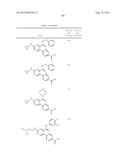 PROTEIN KINASE MODULATORS diagram and image