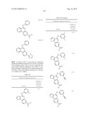 PROTEIN KINASE MODULATORS diagram and image