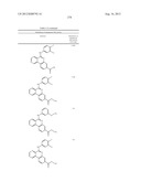 PROTEIN KINASE MODULATORS diagram and image