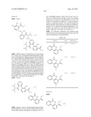 PROTEIN KINASE MODULATORS diagram and image