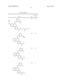 PROTEIN KINASE MODULATORS diagram and image