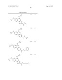 PROTEIN KINASE MODULATORS diagram and image