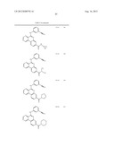 PROTEIN KINASE MODULATORS diagram and image