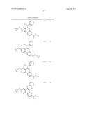 PROTEIN KINASE MODULATORS diagram and image