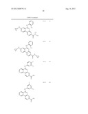 PROTEIN KINASE MODULATORS diagram and image