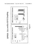 Method of Using GPR35 to Identify Metabolic-Stabilizing Compounds diagram and image