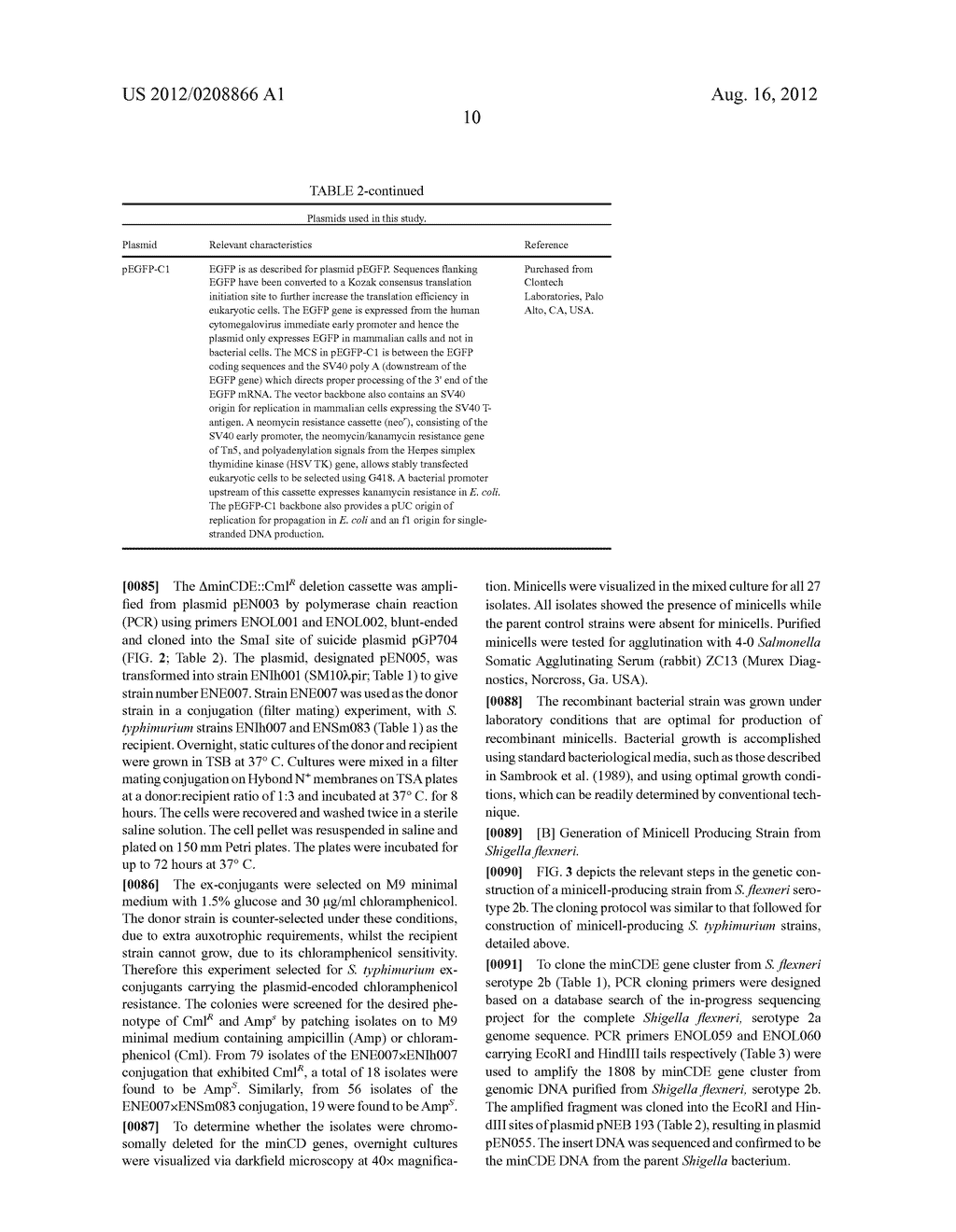 INTACT MINICELLS AS VECTORS FOR DNA TRANSFER AND GENE THERAPY INVITRO AND     INVIVO - diagram, schematic, and image 21