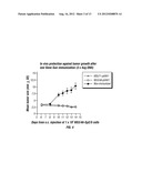 HEPATITIS C VIRUS CODON OPTIMIZED NON-STRUCTURAL NS3/4A FUSION GENE diagram and image