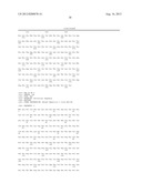 HEPATITIS C VIRUS CODON OPTIMIZED NON-STRUCTURAL NS3/4A FUSION GENE diagram and image