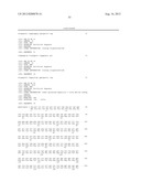 HEPATITIS C VIRUS CODON OPTIMIZED NON-STRUCTURAL NS3/4A FUSION GENE diagram and image