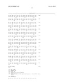 HEPATITIS C VIRUS CODON OPTIMIZED NON-STRUCTURAL NS3/4A FUSION GENE diagram and image