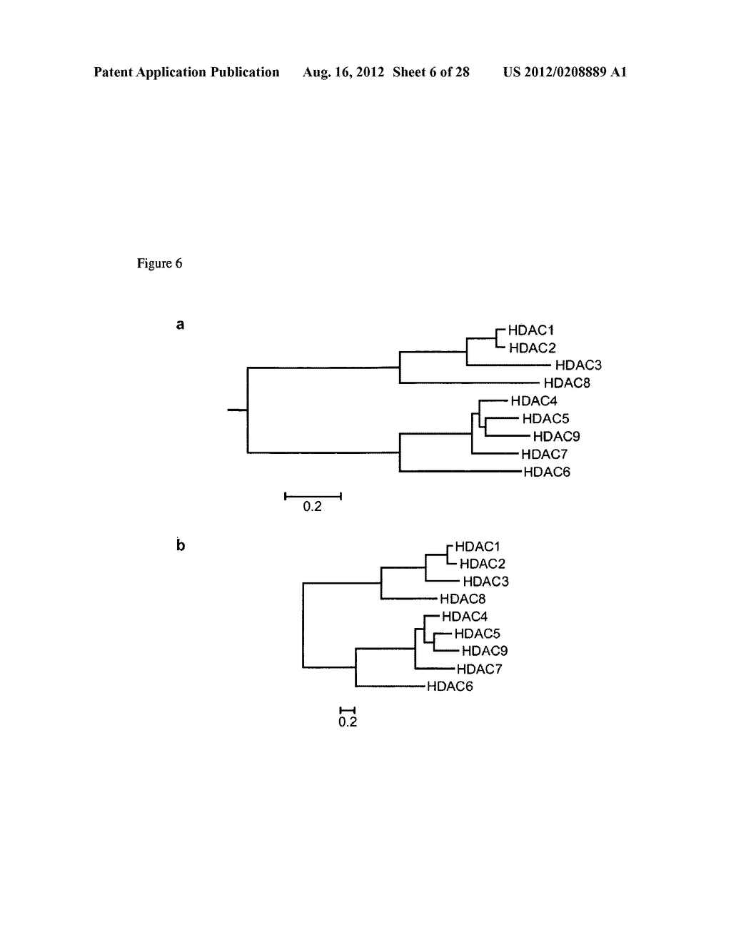 CLASS- AND ISOFORM-SPECIFIC HDAC INHIBITORS AND USES THEREOF - diagram, schematic, and image 07