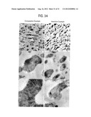 BLOCK COMPOSITES AND IMPACT MODIFIED COMPOSITIONS diagram and image