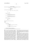 HUMANIZED ANTI-BETA7 ANTAGONISTS AND USES THEREFOR diagram and image