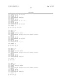 Motif-Specific and Context-Independent Antibodies That Specifically Bind     to a Cleaved Caspase Motif or a Sumoylated Lysine-Containing Motif diagram and image