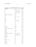 Motif-Specific and Context-Independent Antibodies That Specifically Bind     to a Cleaved Caspase Motif or a Sumoylated Lysine-Containing Motif diagram and image