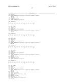 Motif-Specific and Context-Independent Antibodies That Specifically Bind     to a Cleaved Caspase Motif or a Sumoylated Lysine-Containing Motif diagram and image